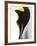 Emperor Penguin (Aptenodytes Forsteri), Snow Hill Island, Weddell Sea, Antarctica, Polar Regions-Thorsten Milse-Framed Photographic Print