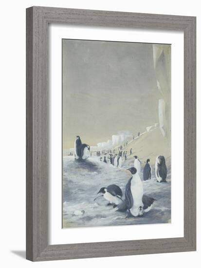 Emperor Penguin at Cape Crozier, Mar 28, 1911-Edward Adrian Wilson-Framed Giclee Print