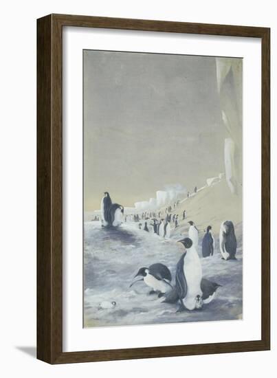 Emperor Penguin at Cape Crozier, Mar 28, 1911-Edward Adrian Wilson-Framed Giclee Print