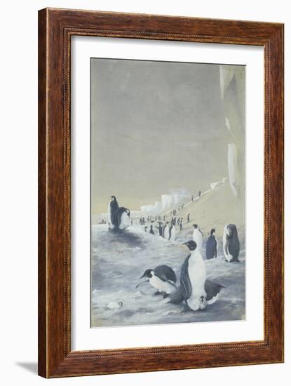 Emperor Penguin at Cape Crozier, Mar 28, 1911-Edward Adrian Wilson-Framed Giclee Print