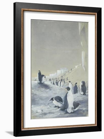 Emperor Penguin at Cape Crozier, Mar 28, 1911-Edward Adrian Wilson-Framed Giclee Print