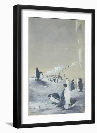 Emperor Penguin at Cape Crozier, Mar 28, 1911-Edward Adrian Wilson-Framed Giclee Print