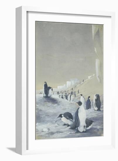 Emperor Penguin at Cape Crozier, Mar 28, 1911-Edward Adrian Wilson-Framed Giclee Print