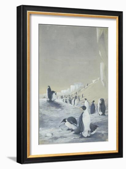 Emperor Penguin at Cape Crozier, Mar 28, 1911-Edward Adrian Wilson-Framed Giclee Print