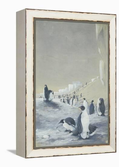 Emperor Penguin at Cape Crozier, Mar 28, 1911-Edward Adrian Wilson-Framed Premier Image Canvas