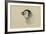 Emperor Penguin, Chick in Down, from Cape Crozier (Taken Alive), the Largest, Oct 1902-Edward Adrian Wilson-Framed Giclee Print