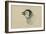 Emperor Penguin, Chick in Down, from Cape Crozier (Taken Alive), the Largest, Oct 1902-Edward Adrian Wilson-Framed Giclee Print