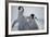 Emperor Penguin Chicks in Antarctica-Paul Souders-Framed Photographic Print