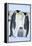 Emperor Penguin Family-DLILLC-Framed Premier Image Canvas