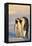 Emperor Penguin Parents with Baby-DLILLC-Framed Premier Image Canvas