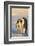 Emperor Penguin Parents with Baby-DLILLC-Framed Photographic Print