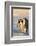 Emperor Penguin Parents with Baby-DLILLC-Framed Photographic Print