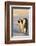 Emperor Penguin Parents with Baby-DLILLC-Framed Photographic Print