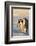 Emperor Penguin Parents with Baby-DLILLC-Framed Photographic Print