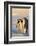 Emperor Penguin Parents with Baby-DLILLC-Framed Photographic Print