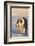 Emperor Penguin Parents with Baby-DLILLC-Framed Photographic Print