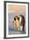 Emperor Penguin Parents with Baby-DLILLC-Framed Photographic Print