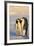 Emperor Penguin Parents with Baby-DLILLC-Framed Photographic Print