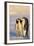 Emperor Penguin Parents with Baby-DLILLC-Framed Photographic Print