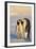 Emperor Penguin Parents with Baby-DLILLC-Framed Photographic Print