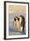 Emperor Penguin Parents with Baby-DLILLC-Framed Photographic Print