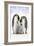 Emperor Penguin, Two Adults with Two Chicks-null-Framed Photographic Print