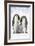 Emperor Penguin, Two Adults with Two Chicks-null-Framed Photographic Print