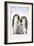 Emperor Penguin, Two Adults with Two Chicks-null-Framed Photographic Print