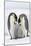 Emperor Penguin, Two Adults with Two Chicks-null-Mounted Photographic Print