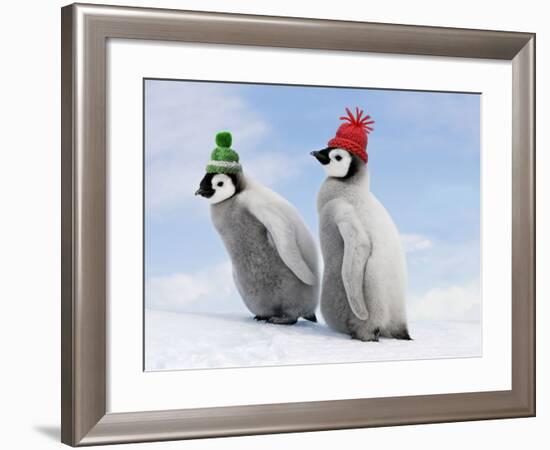 Emperor Penguin, Two Chicks with Woolly Hats-null-Framed Photographic Print