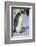 Emperor Penguin Warming its Baby-DLILLC-Framed Photographic Print