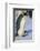 Emperor Penguin Warming its Baby-DLILLC-Framed Photographic Print