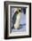 Emperor Penguin Warming its Baby-DLILLC-Framed Photographic Print