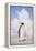 Emperor Penguin-DLILLC-Framed Premier Image Canvas