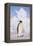 Emperor Penguin-DLILLC-Framed Premier Image Canvas