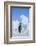 Emperor Penguin-DLILLC-Framed Photographic Print