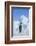 Emperor Penguin-DLILLC-Framed Photographic Print