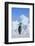 Emperor Penguin-DLILLC-Framed Photographic Print