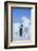 Emperor Penguin-DLILLC-Framed Photographic Print