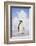 Emperor Penguin-DLILLC-Framed Photographic Print