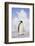 Emperor Penguin-DLILLC-Framed Photographic Print