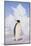 Emperor Penguin-DLILLC-Mounted Photographic Print