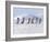 Emperor Penguins, 4 Young Ones Walking in a Line-null-Framed Photographic Print