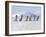 Emperor Penguins, 4 Young Ones Walking in a Line-null-Framed Photographic Print