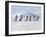 Emperor Penguins, 4 Young Ones Walking in a Line-null-Framed Photographic Print