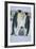 Emperor Penguins and Offspring-DLILLC-Framed Photographic Print