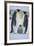 Emperor Penguins and Offspring-DLILLC-Framed Photographic Print