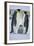 Emperor Penguins and Offspring-DLILLC-Framed Photographic Print