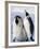 Emperor Penguins (Aptenodytes Forsteri) and Chick, Snow Hill Island, Weddell Sea, Antarctica-Thorsten Milse-Framed Photographic Print