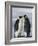 Emperor Penguins (Aptenodytes Forsteri) and Chick, Snow Hill Island, Weddell Sea, Antarctica-Thorsten Milse-Framed Photographic Print